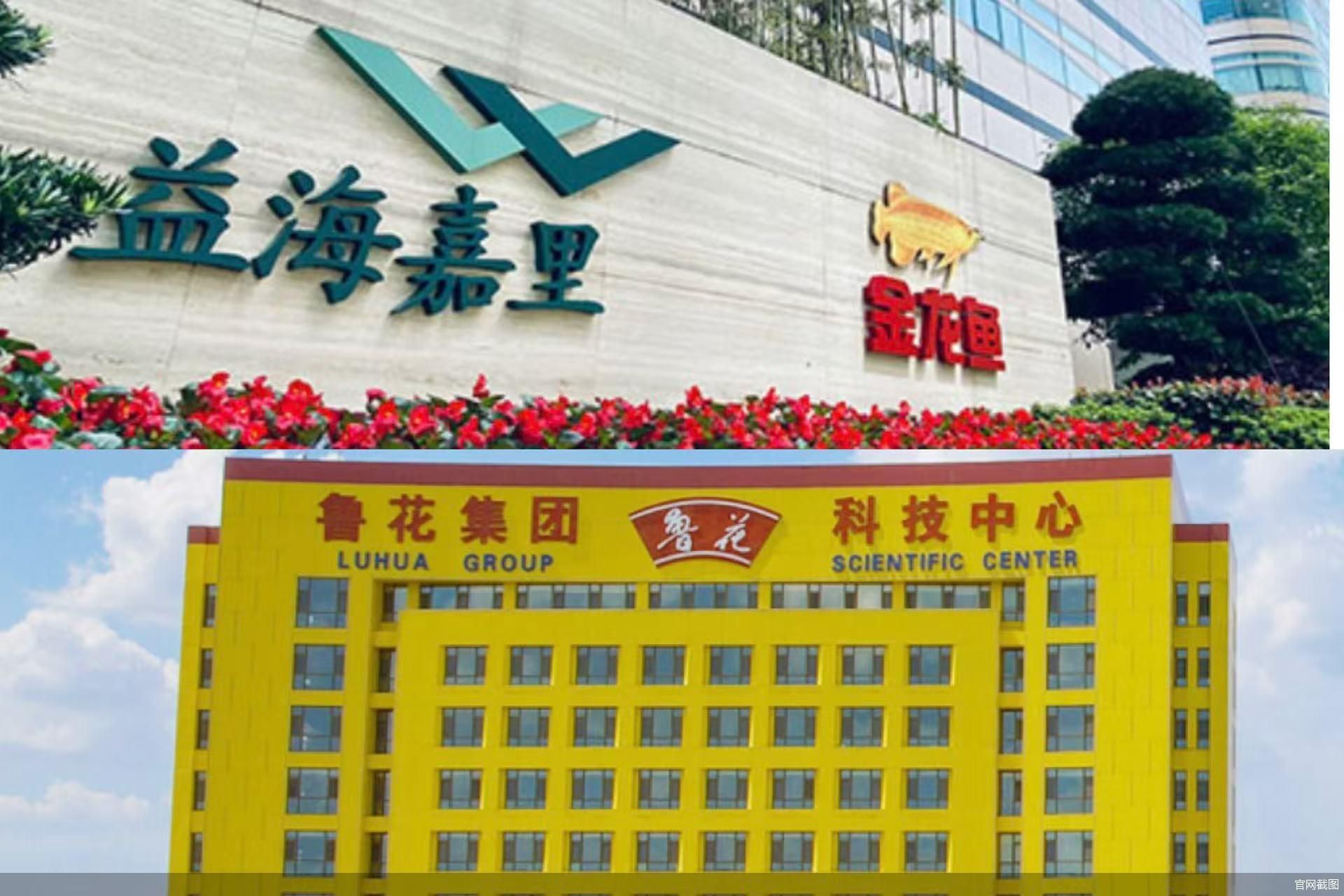 金龙鱼正式入股鲁花,食用油市场格局生变? 第1张 金龙鱼正式入股鲁花,食用油市场格局生变? 第1张