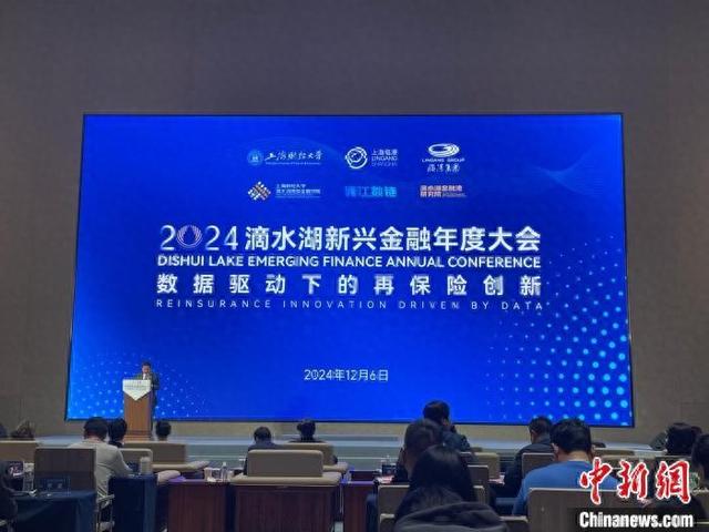 2024滴水湖新兴金融大会“数据驱动下的再保险创新”分论坛现场。高志苗 摄