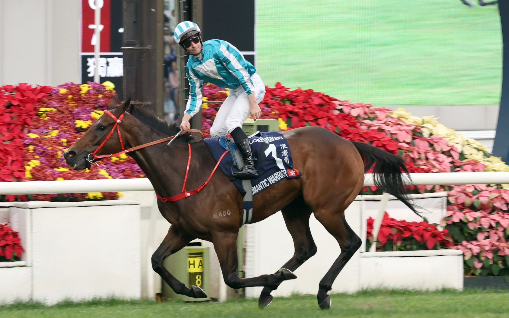 「浪漫勇士」實現香港杯3連冠，成為全球贏得最多獎金的賽馬。 香港賽馬會供圖
