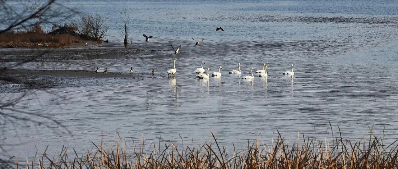 海东新到一个城市怎么找玩的你懂的