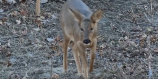 影片截圖。影片來源：北京房山微信公眾號