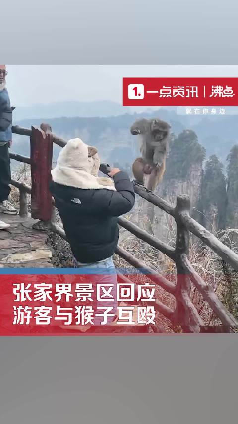 张家界景区回应