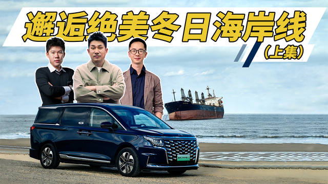 视频：有人说一定要去看一次冬季的海，相比夏日海滨的人声鼎沸…