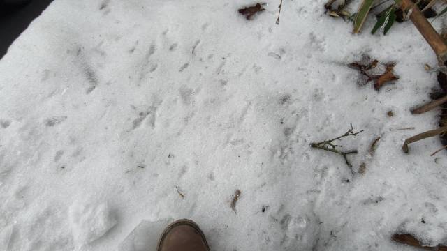 今天开了两辆车，其中还有小鹏 MONA M03，顺便测试了续航…