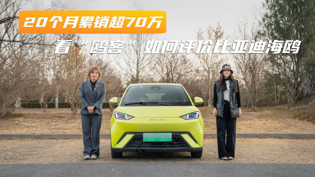 11月获全品类汽车冠军，上市20个月累计销售超70万辆…