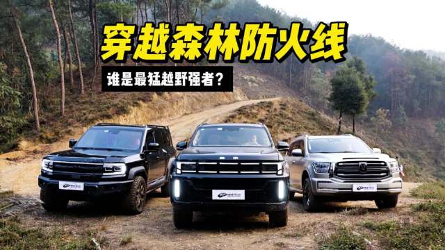穿越森林防火线，三台新能源越野车谁才是更猛越野强者