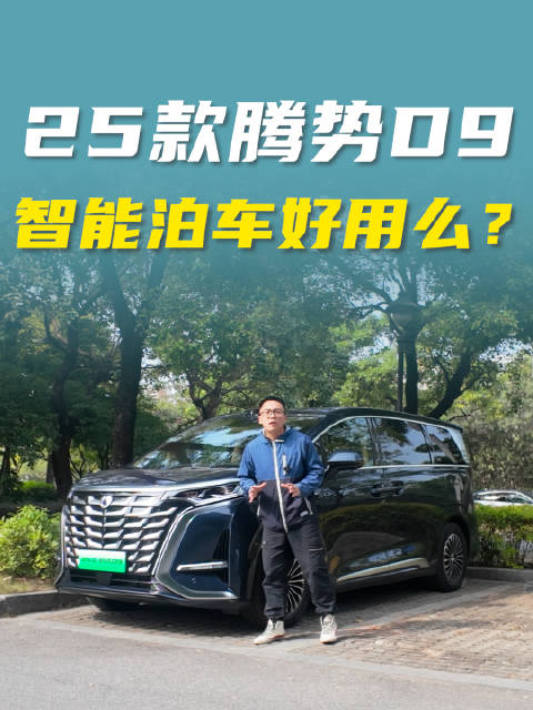 25款腾势D9智能泊车好用么？