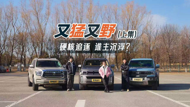 真实野外用车场景，解锁不同玩法，看三辆主流热议新能源硬派越野车真实力…