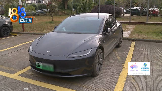 冲补贴买特斯拉结果一分没有