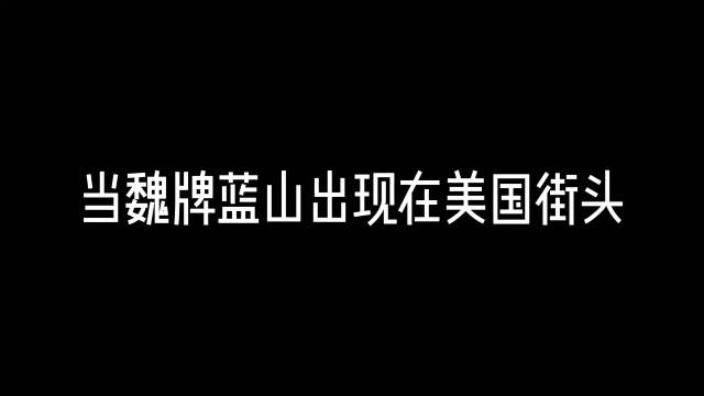 今天科技犬得到一条重磅消息，魏牌全新蓝山将亮相2025CES展览…