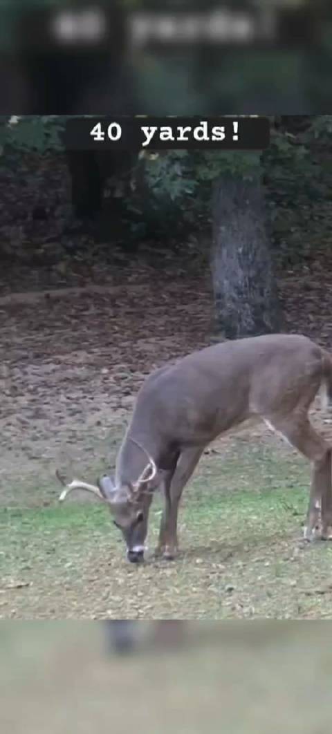 那个电影叫什么环游记来着？ 猎人：飞屋环游记吗 ：对啊 飞屋