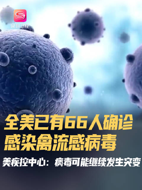 当地时间2024年12月31日，据美国疾病控制与预防中心(CDC)的最新数据报道…|流感病毒|禽流感|感染|住院|H5N1型_新浪新闻