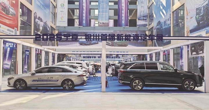 逛车展领补贴 买新车过大年