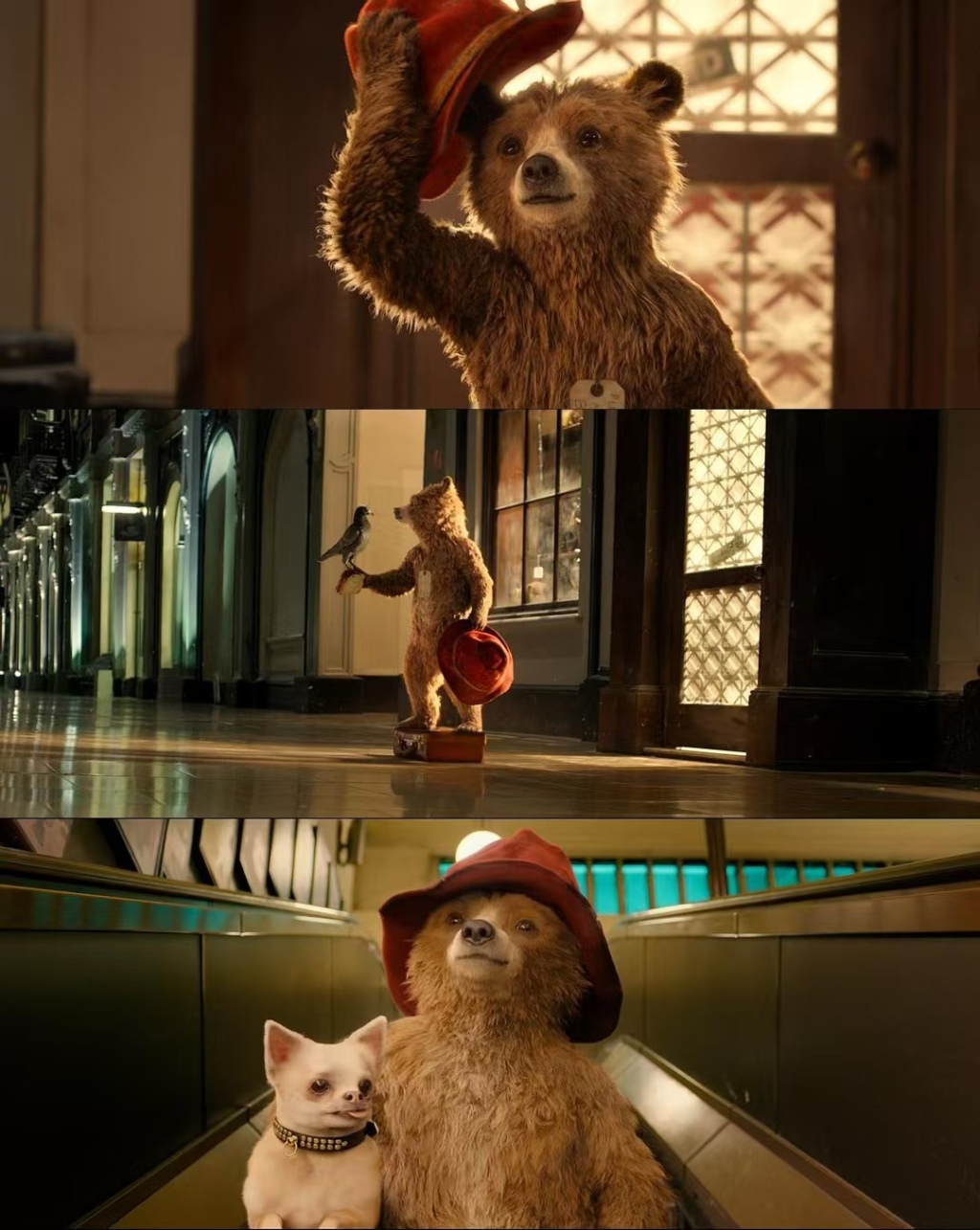 《帕丁顿熊》（2014）剧照