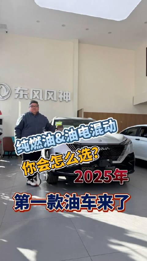 纯燃油还是油电混动？2025年买车你选哪种？
