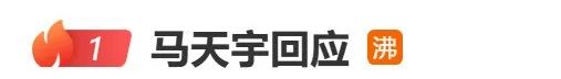 ▲图源马天宇工作室微博。