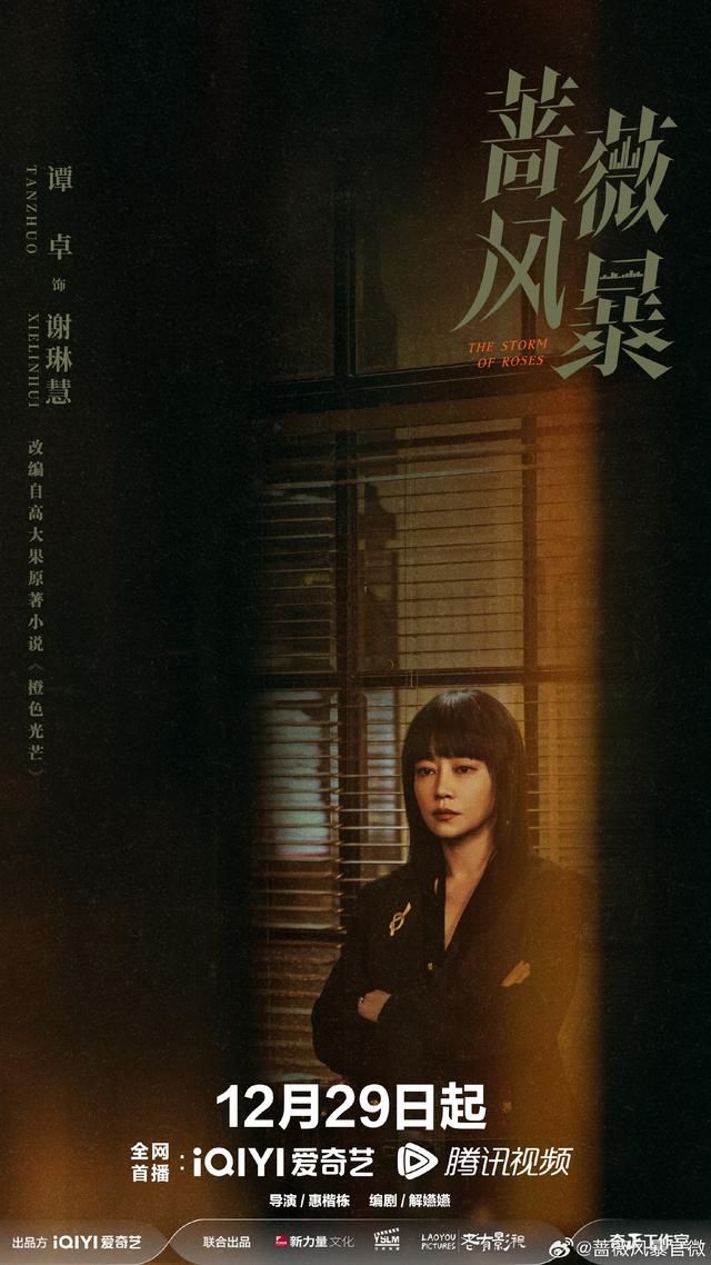 《蔷薇风暴》海报