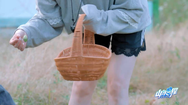 咱吃货脑也是挖上野菜了！