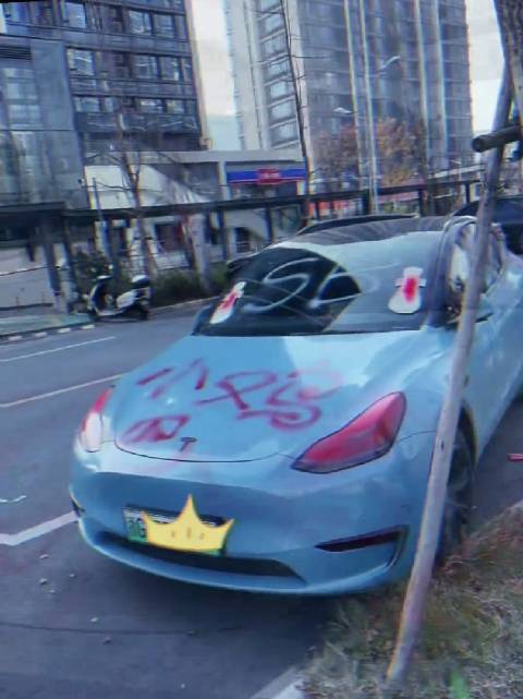 浙G这位特斯拉车主，你的“秘密”，被仇家这是曝光了……