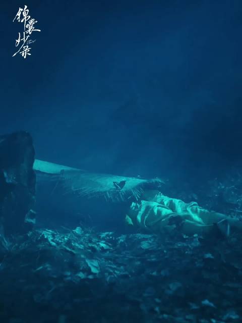 精致明代服饰，细腻纹理，清新淡雅刺绣，简直是视觉盛宴！