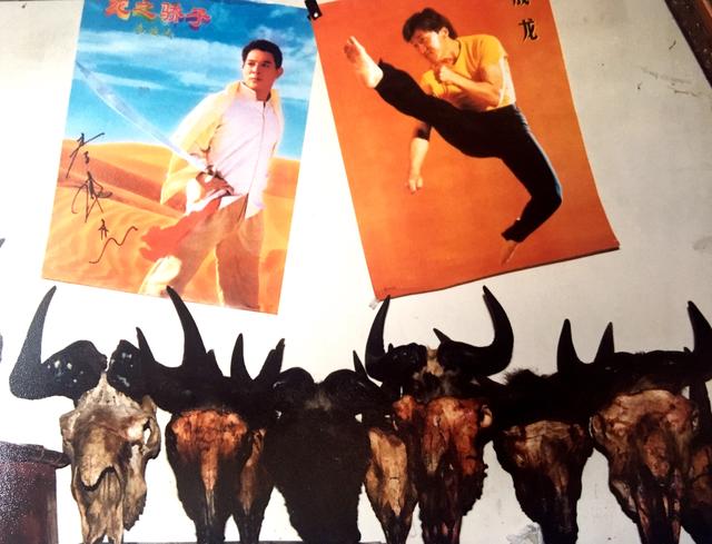 1999年，在西藏猎民家里见到的动物头骨。 宋金波 图