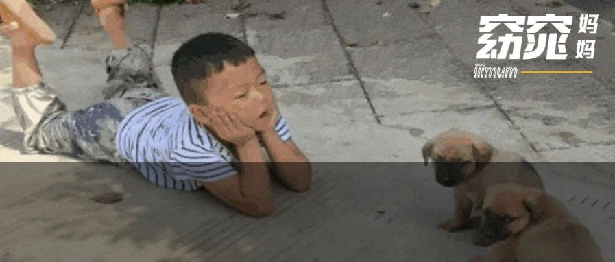 孩子不爱学习怎么办 如何让孩子主动学习