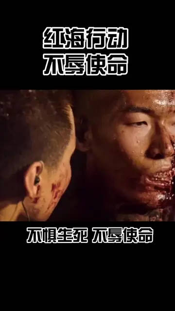 致敬英雄：石头！