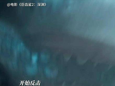 你期待哪位获胜？