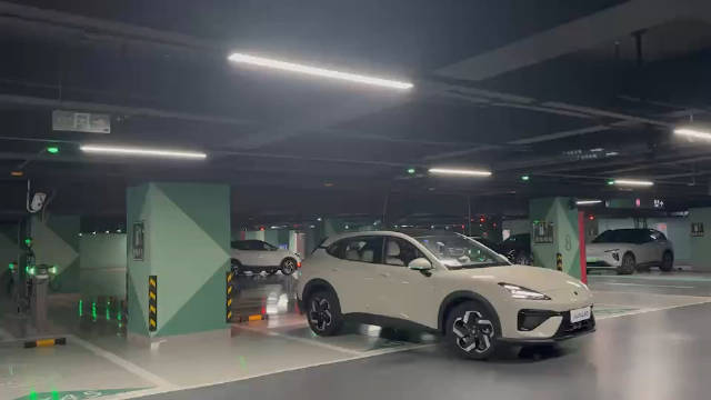 视频：哪些智驾功能超出预期？ 必须是智能泊车功能！