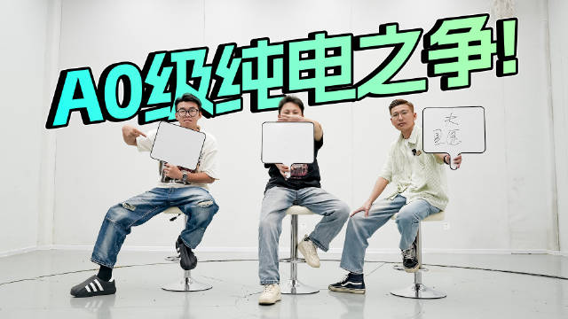 谁是纯电时代霸主？海豚/缤果SUV/星愿互怼！没想到它最划算！