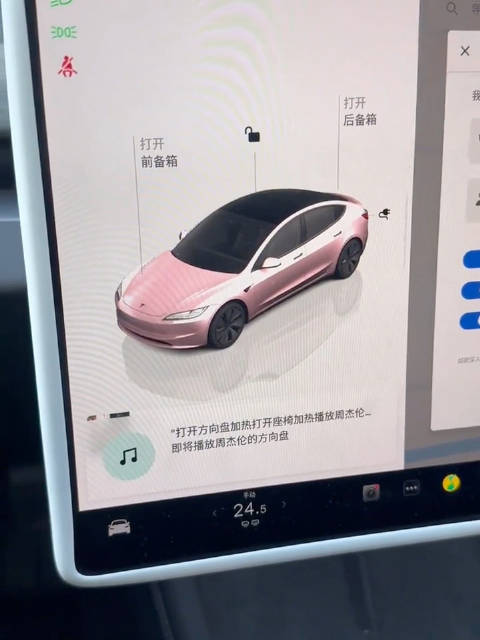 你们的特斯拉也这样么？现在几万的国产车都比这强