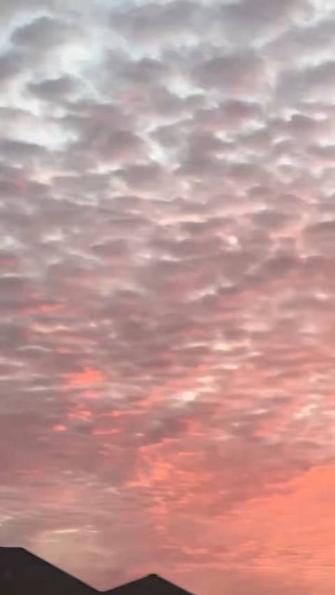 央视八套追新剧，胡冰卿锦囊妙录，为人撑伞淋过雨，掌握命运我做主