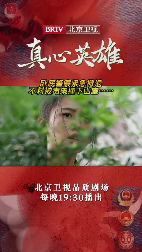 卧底警察@Zz罗一舟 紧急撤退，不料被毒枭撞下山崖……