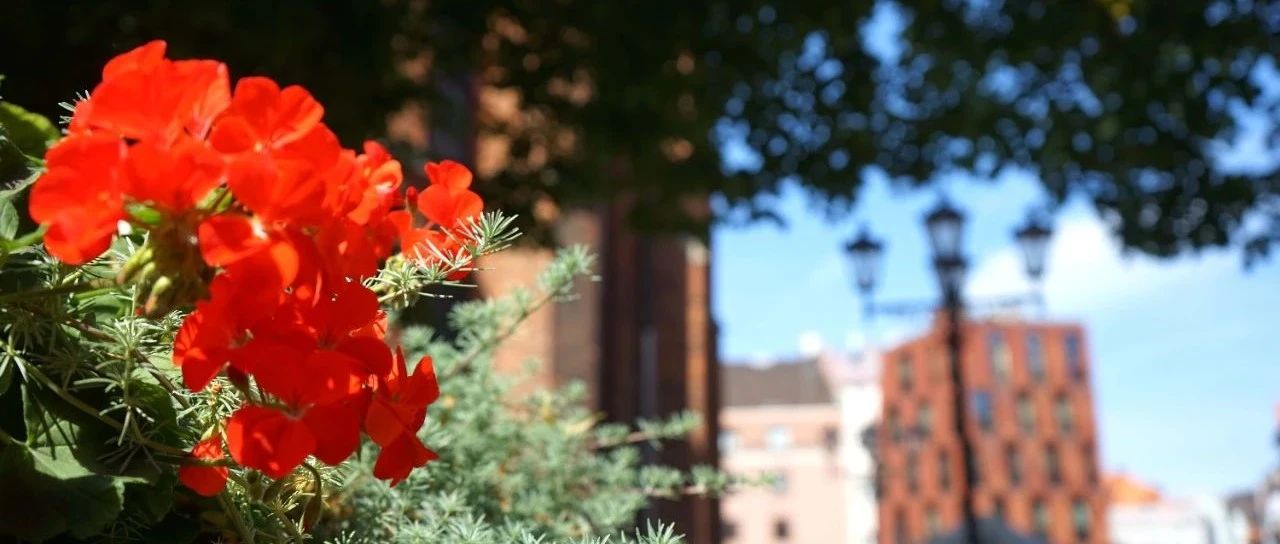 关于ETF最坦诚的一次对话，网红量化团队亮相《深夜食堂》