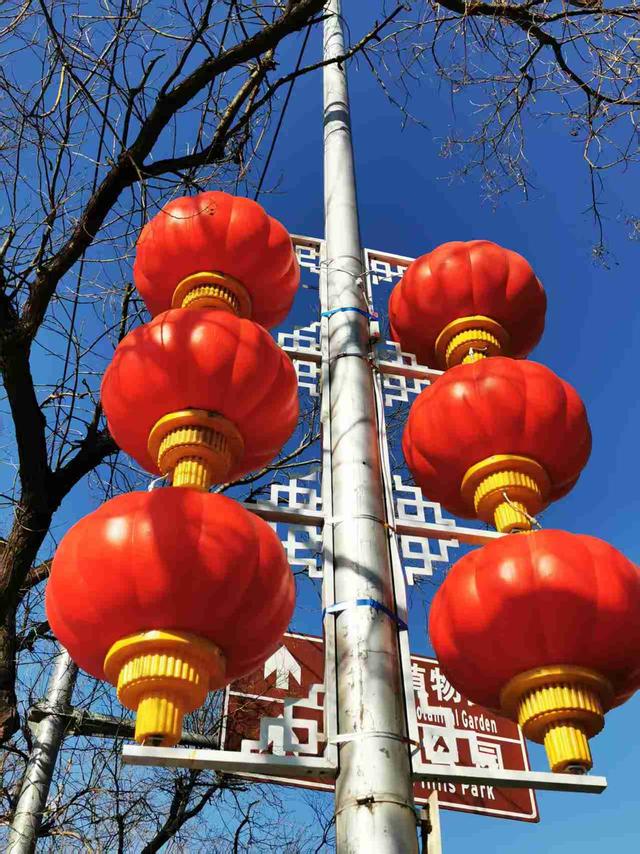 好影好文 摄