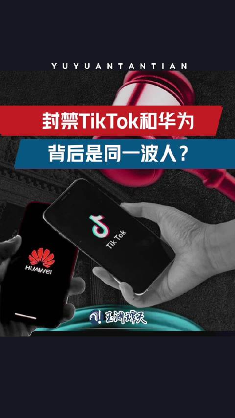 TikTok禁令幕后黑手