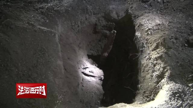 北京警方刑拘3名“摸金校尉”