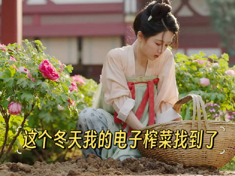 家人们！这个冬天我的电子榨菜找到啦！