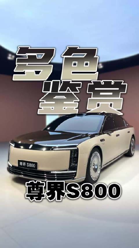 尊界S800，豪车界的“指挥家”