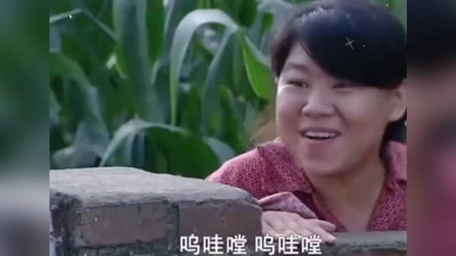 沈春阳剧中唱的“呜哇嘡，呜哇嘡”，到底是个啥？有课代表知道的吗？