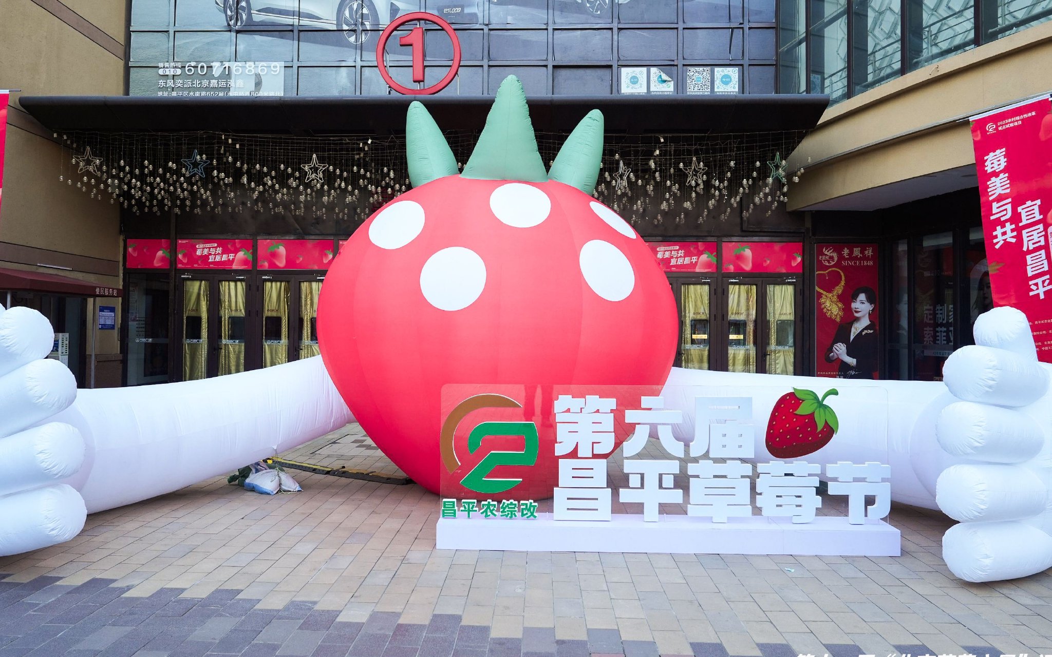 1月21日，第十一屆「北京草莓之星」評選暨第六屆昌平草莓節開幕。昌平區供圖