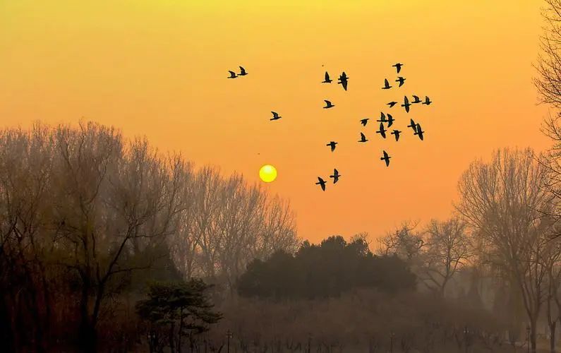 愿每个孤单的灵魂都找到避寒之处