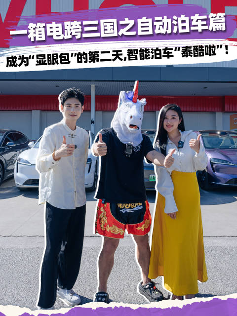 搞事情！谁家好人去外国商场停车场玩儿倒车入库啊！还是自！动！泊！车！