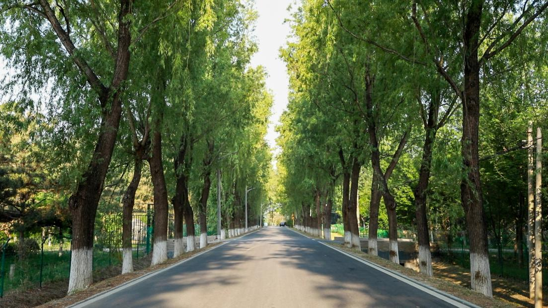 北石槽鎮東環路。圖片來源：北京順義微信公眾號