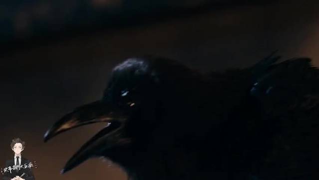 脖颈出现数字！归零死亡便会降临，你能逃离命运的追杀吗？ 科幻 神秘博士