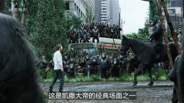 一口气看完《猩球崛起2》凯撒被枪杀，二当家上位，战争一触即发 一口气看完系列 科幻电影 猩球崛起2
