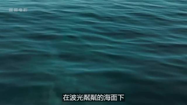一口气看完《加勒比海盗2》经典就是经典，太多搞笑名场面了 一口气看完系列 科幻电影 长视频
