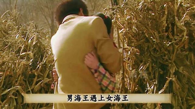 钟跃民秦岭交付第一次，竟是在柴火堆完成的！ 血色浪漫 钟跃民 秦岭 孙俪 精选好剧