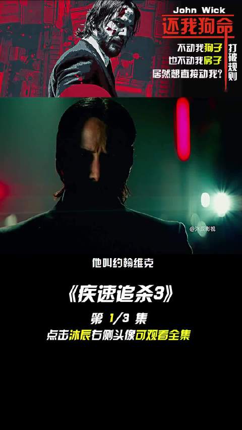 谁要我狗命，我就先拿你狗命，一条狗引发的蝴蝶效应... 疾速追杀  基努里维斯 dou是好剧安利官