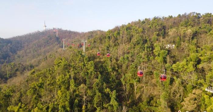 “敞篷”变“轿厢” 长沙岳麓山新索道试运行